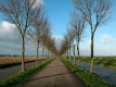 Listebilde